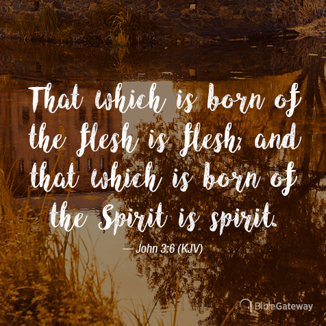 John 3:6 on Bible Gateway.
