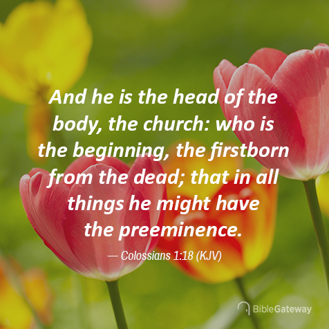 Colossians 1:18 on Bible Gateway.