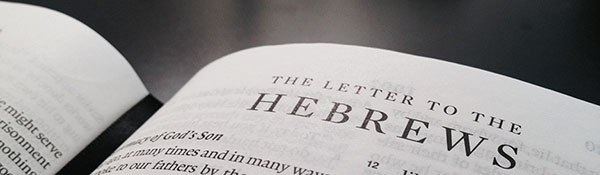 What Is Unique About The Books Of James And Hebrews Bible Gateway Blog