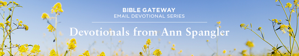 Devotions from Ann Spangler