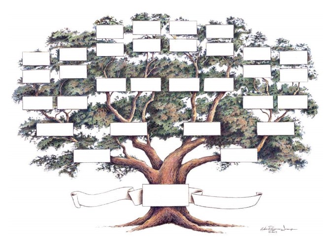 17+ The Family Tree Of Jesus PNG