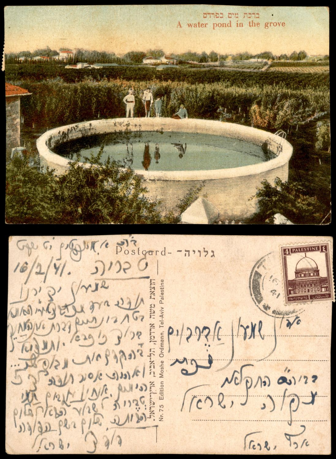 Lot 40 - israel stamps  -  ISRASTAMPS   Auction 9 Israel & Palestine stamps & covers & a lot more. nearly everything up to $ 10 !! 