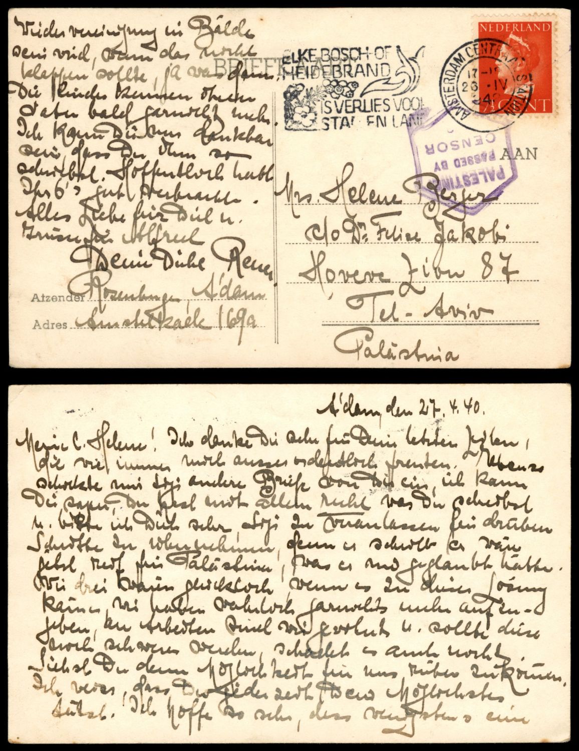 Lot 146 - israel stamps - ISRASTAMPS Auction 10 Israel & Palestine stamps & covers & a lot more. nearly everything up to $ 10 !! Lot 146 - israel stamps - ISRASTAMPS Auction 10 Israel & Palestine stamps & covers & a lot more. nearly everything up to $ 10 !!