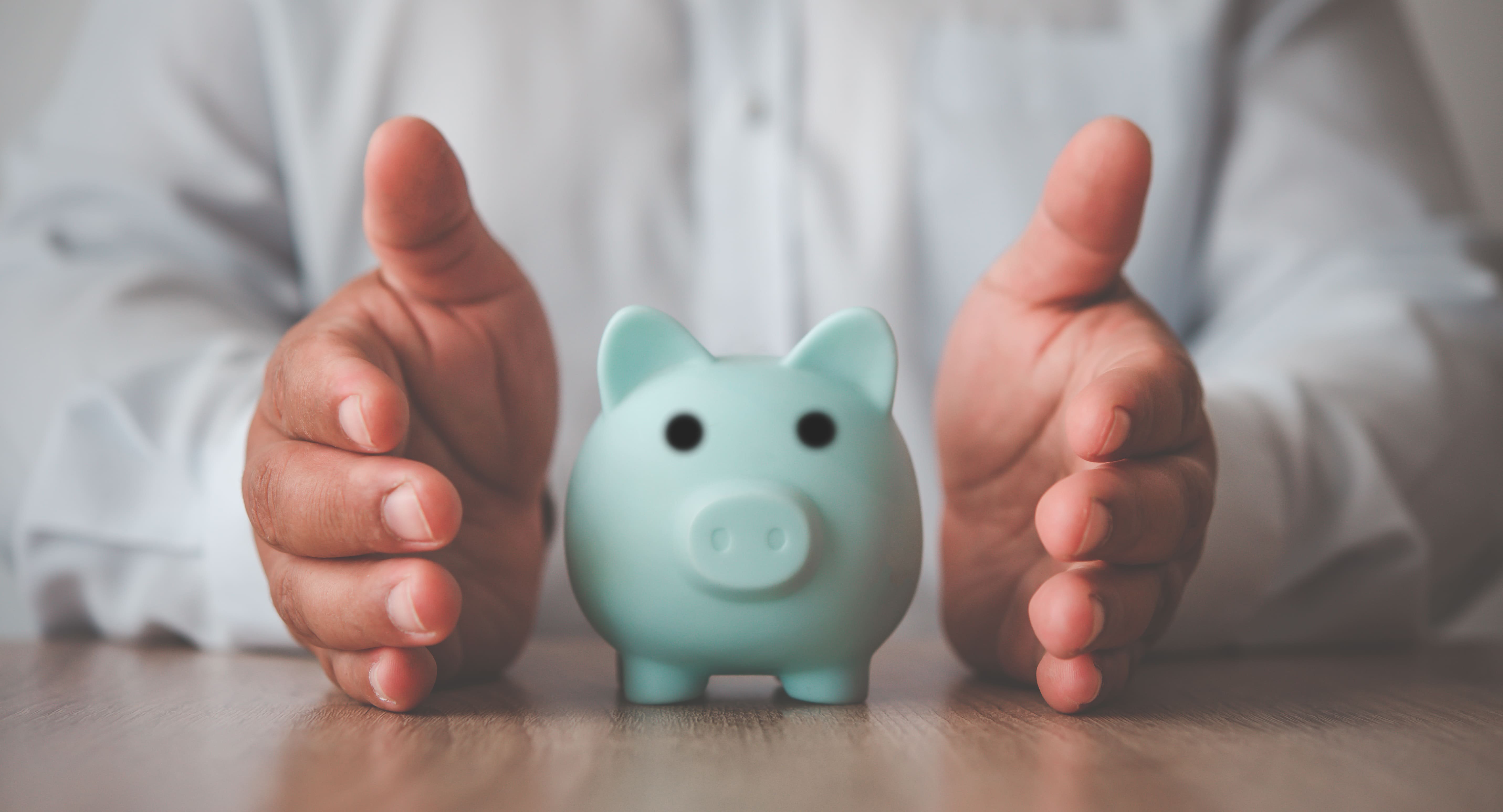 hand-protecting-the-icon-piggy-bank-the-concept-2022-11-19-03-27-40-utc (1).jpg