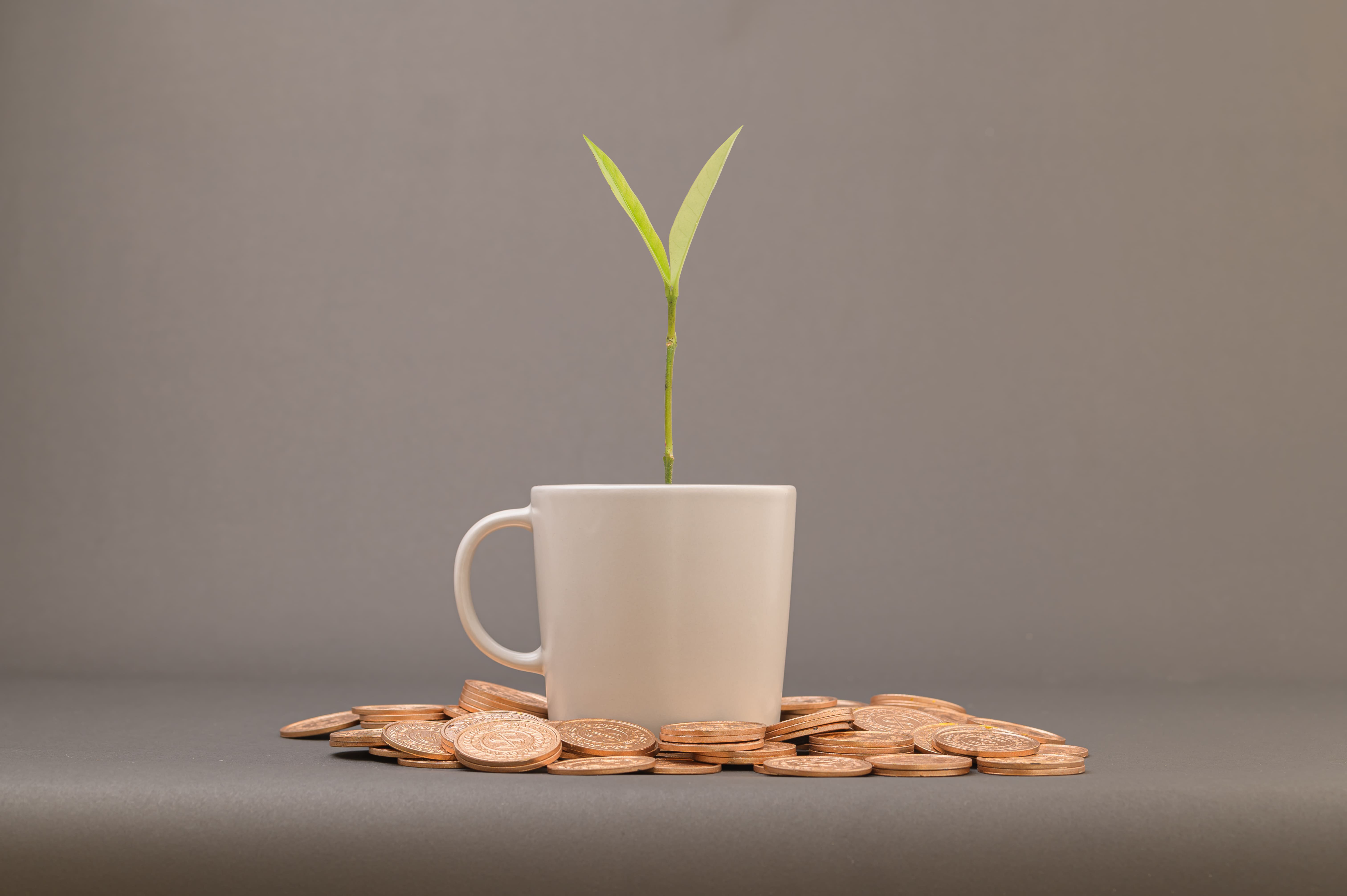 ¿Cómo invertir la prima de fin de año?