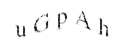 CAPTCHA challenge image