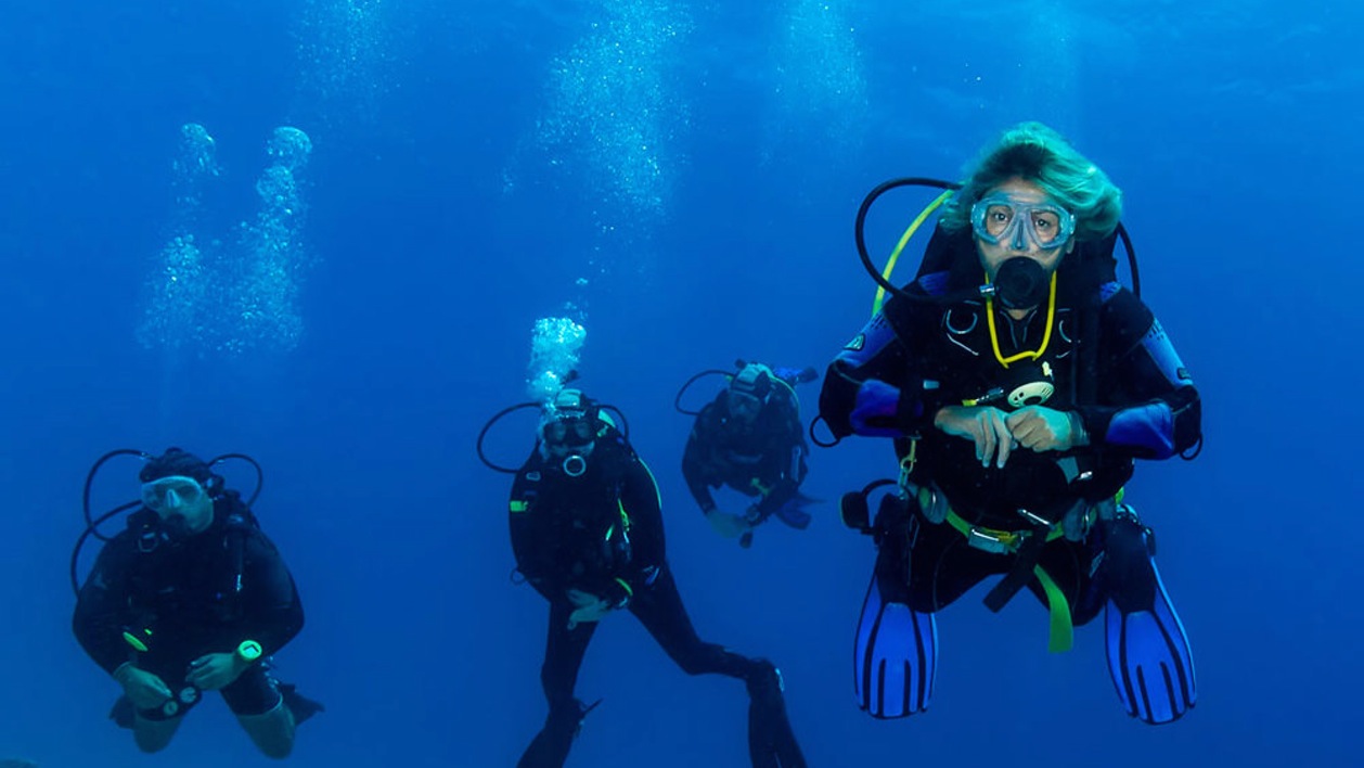 Product Dive Adventure AM Local Scuba