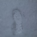 update image