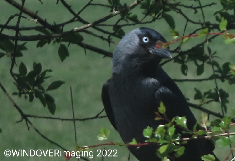 20220424105558 img 0507