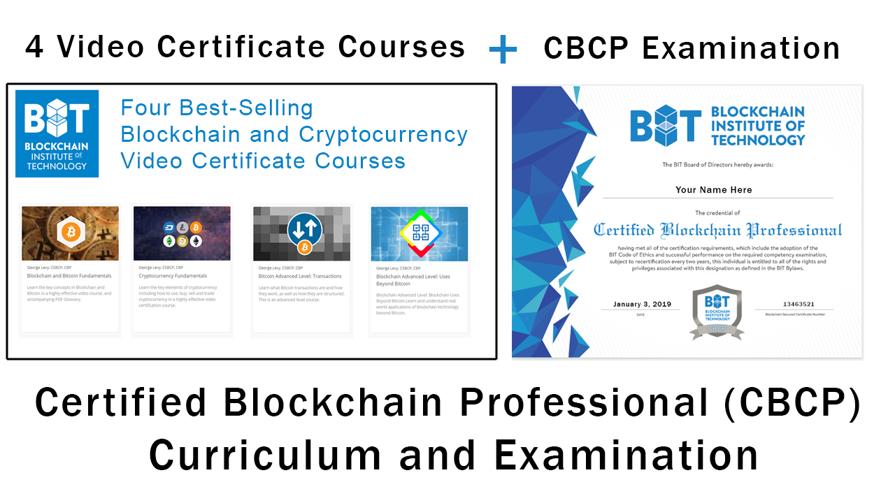 Certified Blockchain Professional Curriculum and Examination