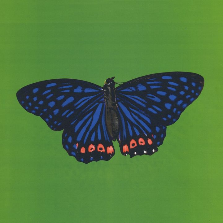 Radiant Children Concert Tickets 2023 Live Tour Dates Bandsintown