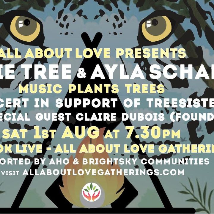 Ayla Stream Ayla Stream