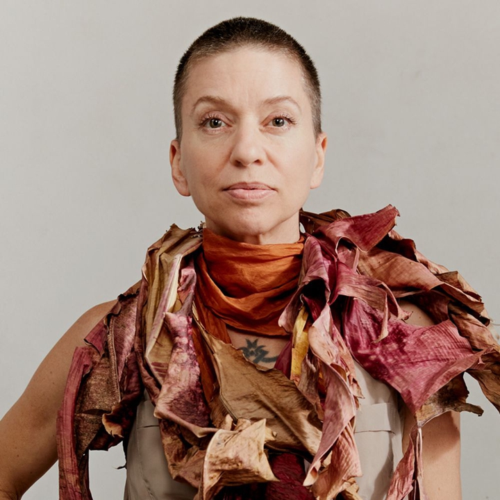 Ani DiFranco Tickets, 2022 Concert Tour Dates & Details Bandsintown