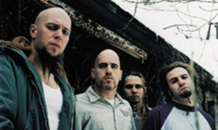 Dry группа. Dry группа. Dry группа. Драй шафт группа. Dry группа.