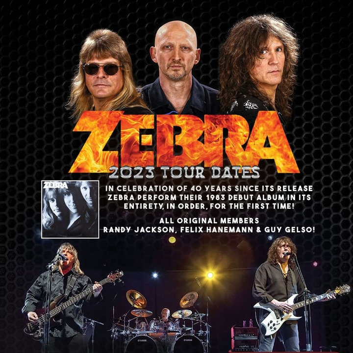 Zebra Concert Tickets 2023 Live Tour Dates Bandsintown