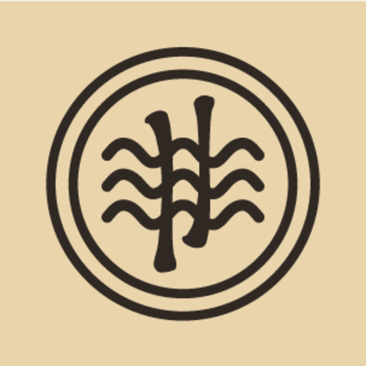 Oktoplut + CARAVANE + Ariel