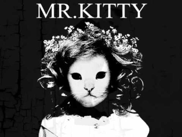 Mr Kitty + IAMX + Mr. Kitty