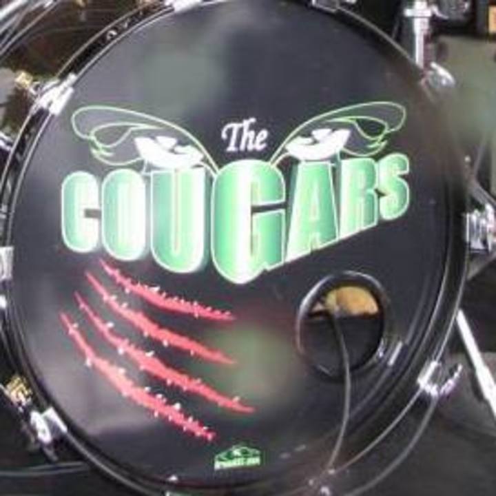 green bay cougars personals A green bay based 6 piece band with 3 female lead singers great tunes, great harmonies, great fun. green bay cougars personals A green bay based 6 piece band with 3 female lead singers great tunes, great harmonies, great fun.