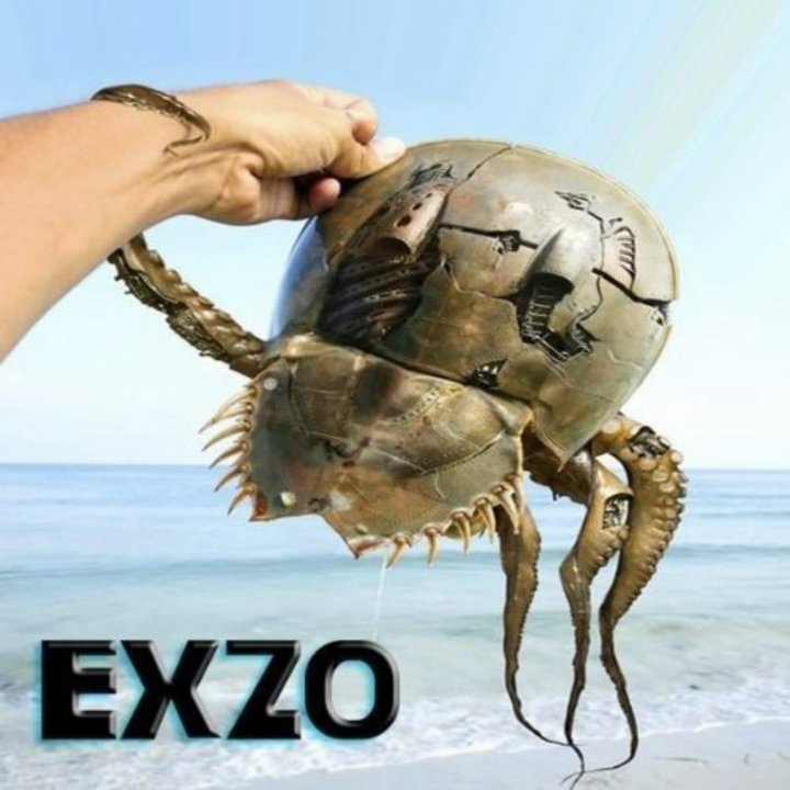 Exzo Tour Dates, Concert Tickets, & Live Streams