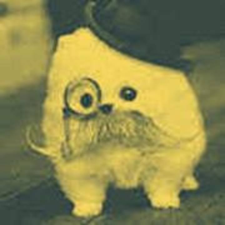 Samiam Concerts & Live Tour Dates 20242025 Tickets Bandsintown