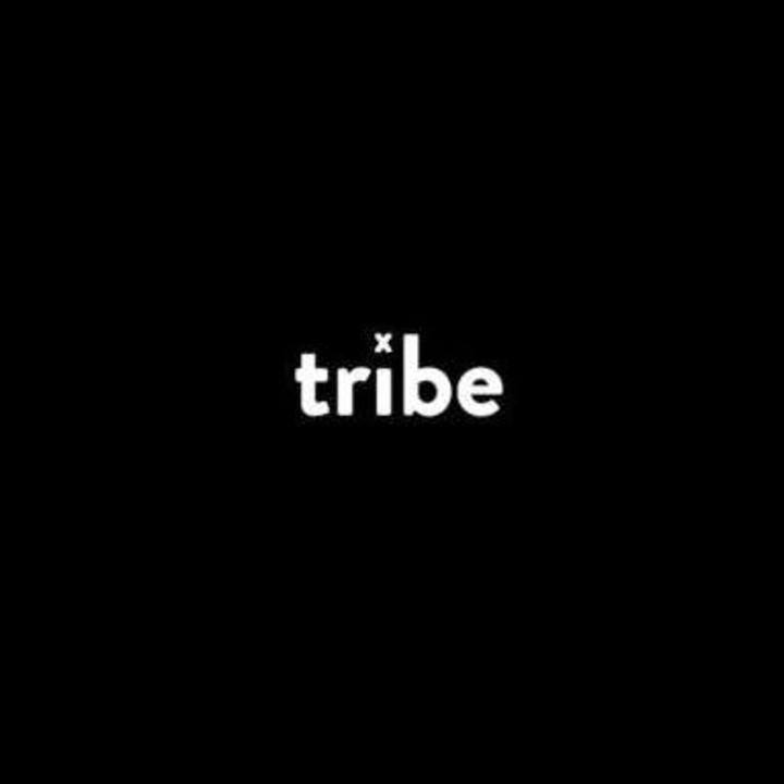 Indie tribe. Concerts & Live Tour Dates: 2024-2025 Tickets | Bandsintown