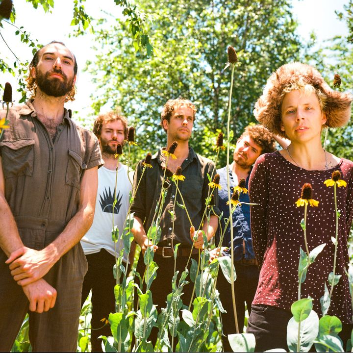 Pond Tour Dates 2020, Concert Tickets & Live Streams Bandsintown