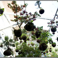 String garden big square