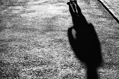 13513610304 5c9d8ea218 b listing