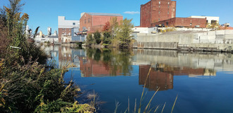 Gowanus photo 1 listing