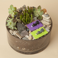  mg 1166 big square