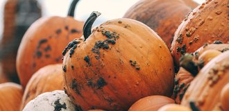 Andrew branch 2016 10 01 (unsplash xjrdzdzfgqu) listing