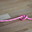 Dsc 0003 tiny