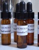 Dilutioncollection2 excerpt