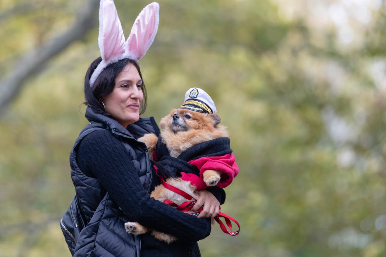 See The Winners Of The 20th Annual Great PUPkin Dog ...