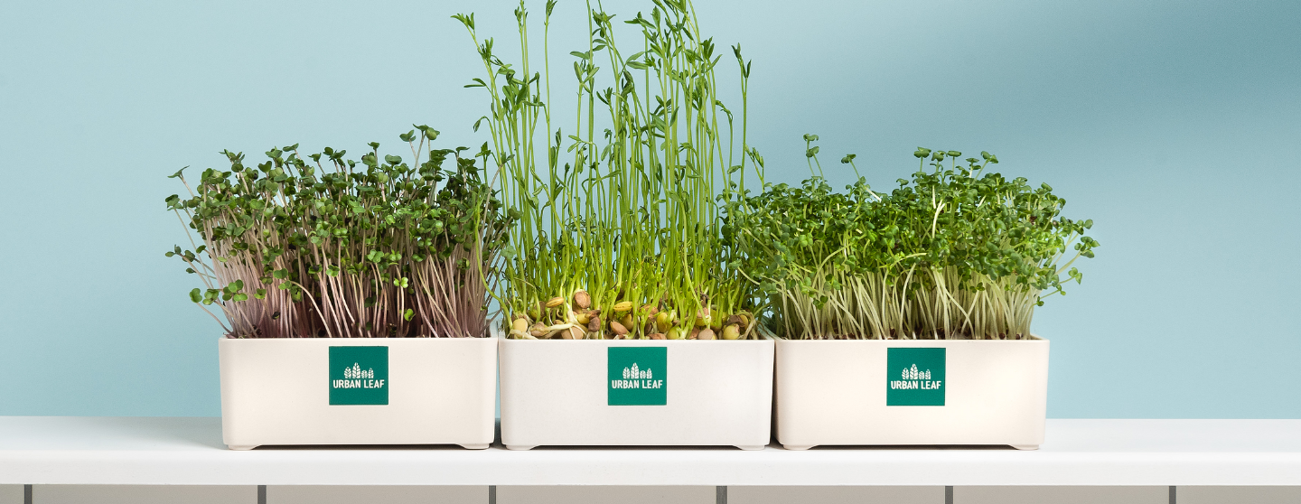 Urban Leaf Certified B Corporation B Lab Global