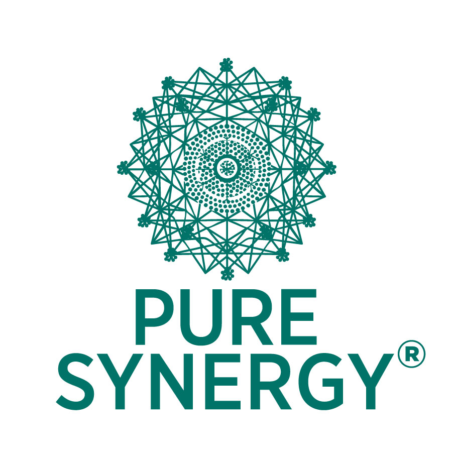 Logo for Pure Synergy