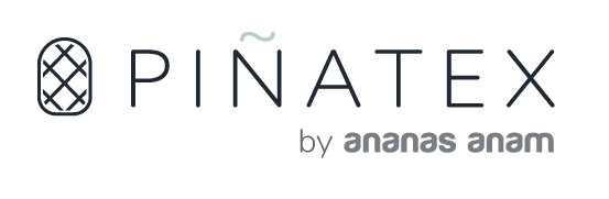 Logo for Ananas Anam
