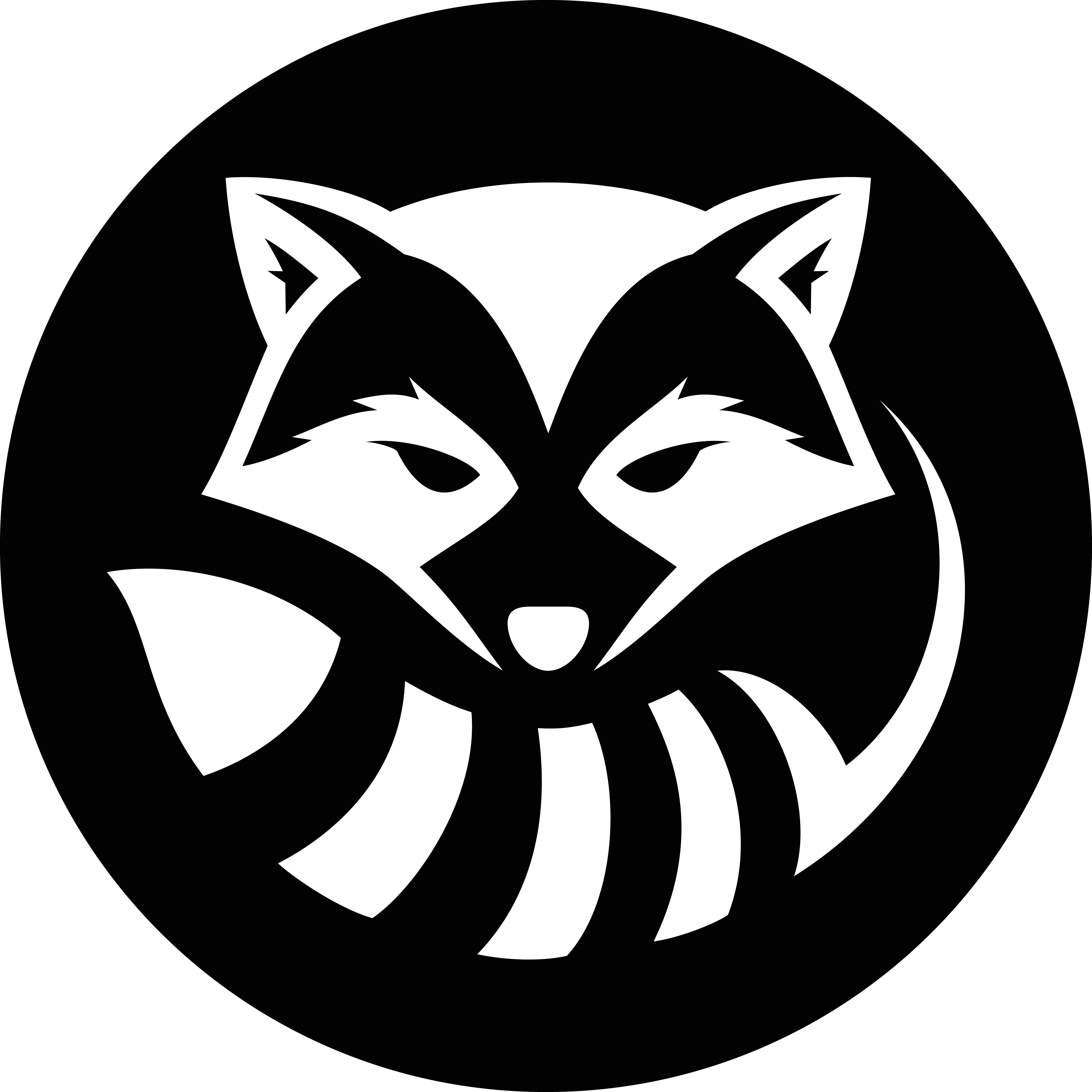 Trash Panda Disc Golf Certified B Corporation B Lab Global