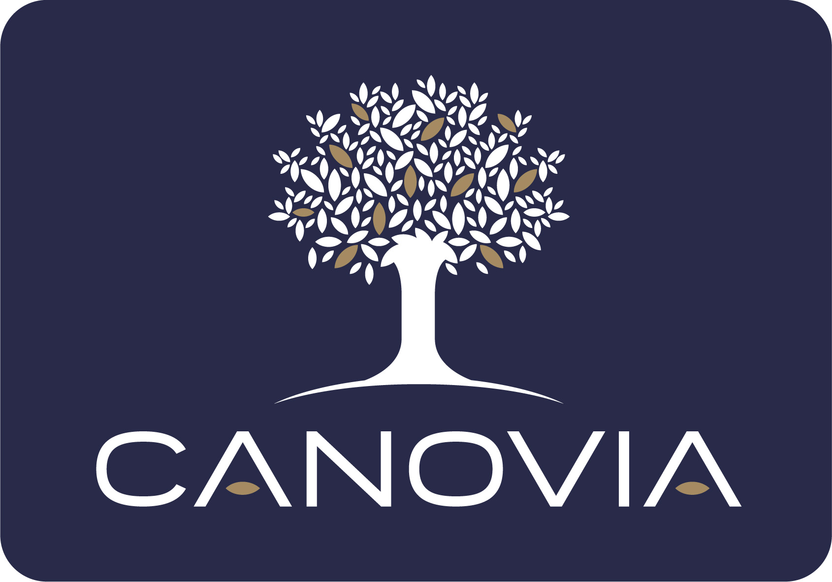 Logo for CANOVIA