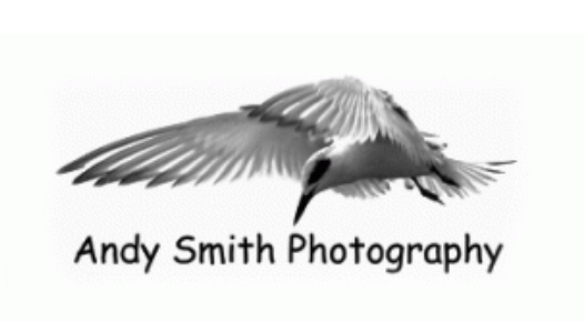 Logo for Andy Smith Photography