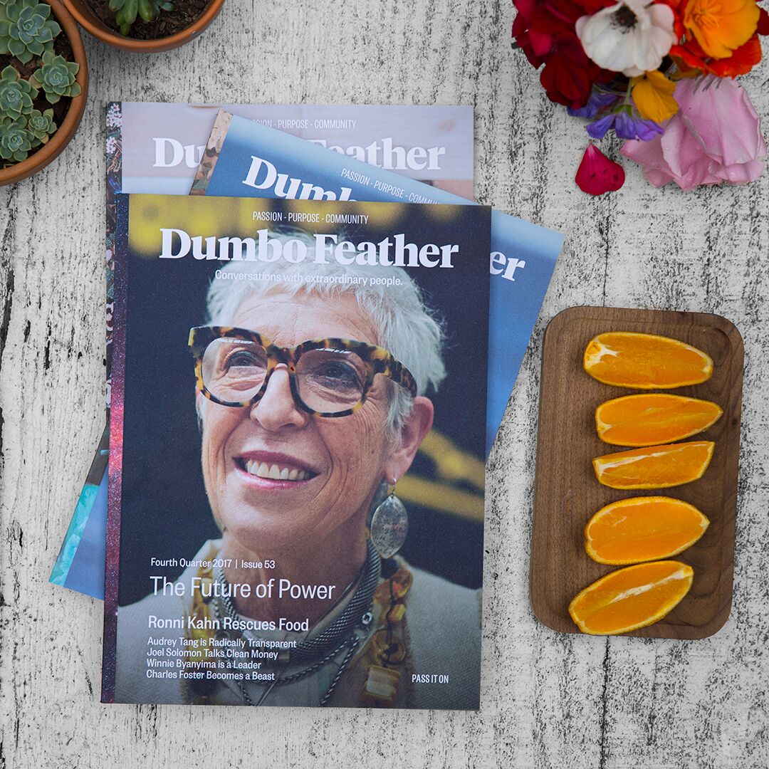 Logo for Dumbo Feather