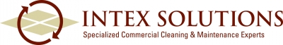 Logo for Intex Solutions, Inc.