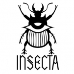 Logo for Insecta Shoes