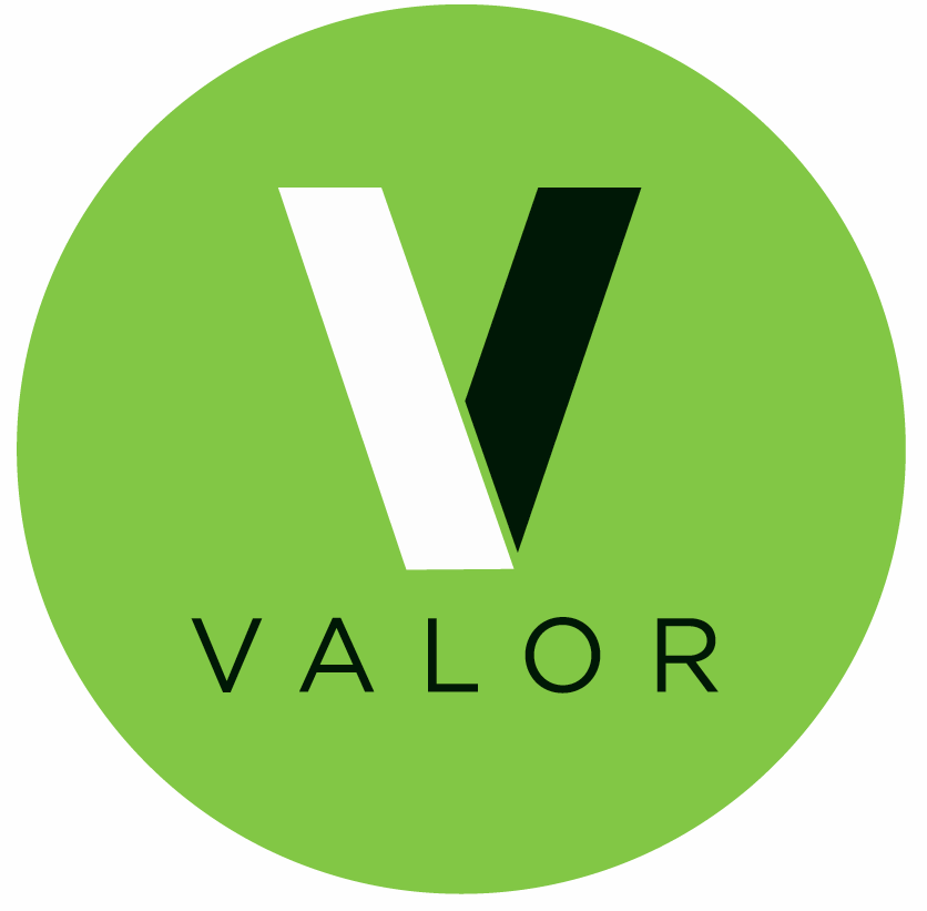 Logo for Valor CSR