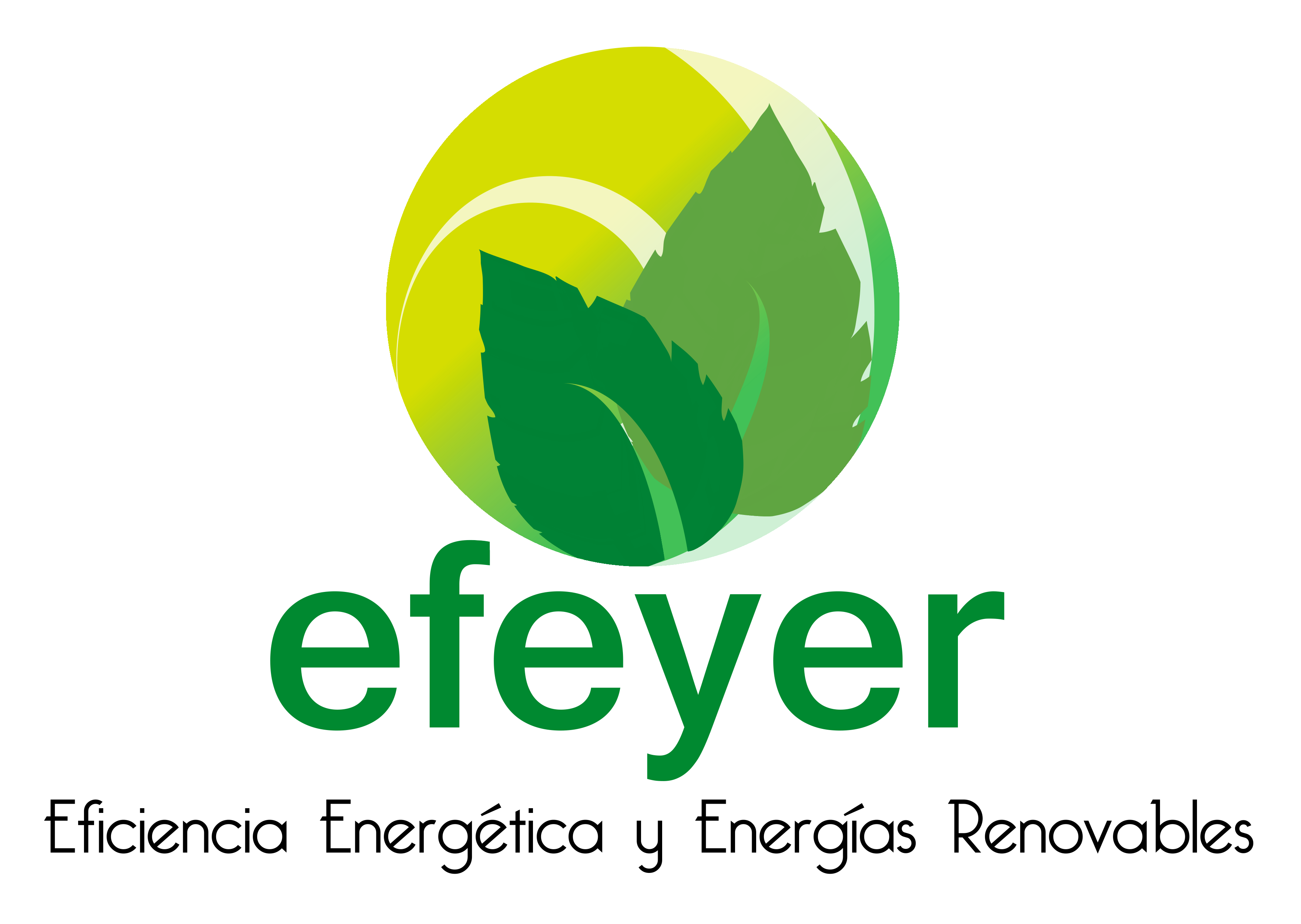 Logo for SOCIEDAD DE INGENIERÍA APLICADA EFEYER LIMITADA