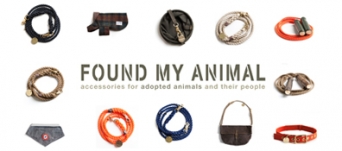 Logo for Found My Animal