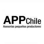 Logo for APP Chile