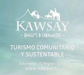 Logo for KAWSAY