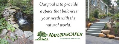 Logo for Naturescapes