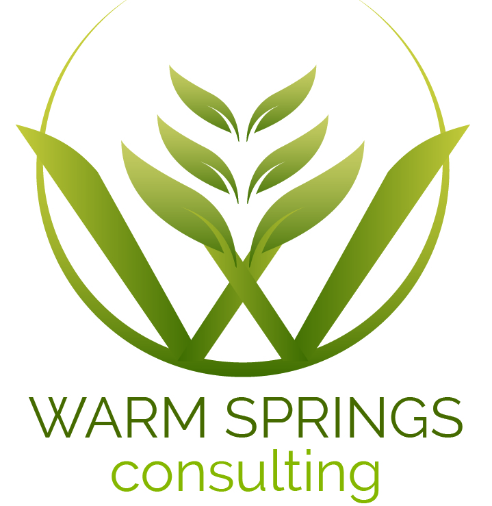 Logo for Warm Springs Consulting LLC